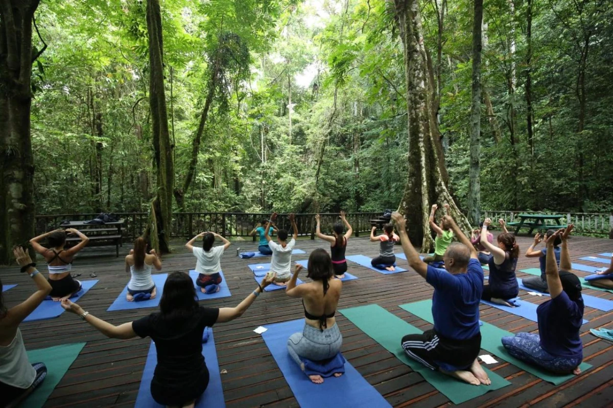 Mulu Marriott Resort & Spa - Hotel Photo 34