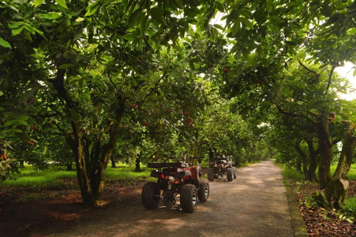 The Westin Desaru Coast Resort - Hotel Photo 35