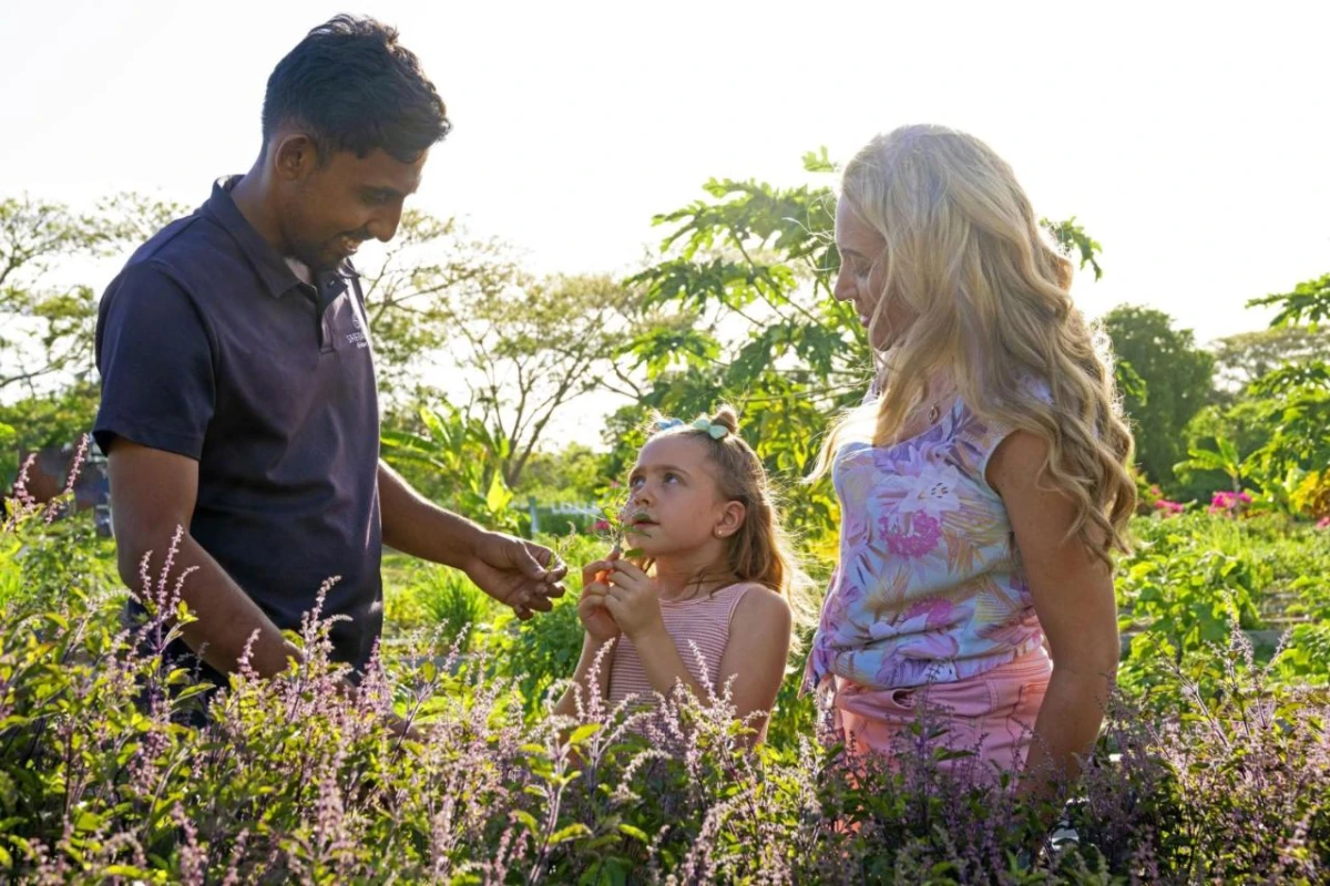 Sheraton Fiji Golf & Beach Resort - Hotel Photo 50