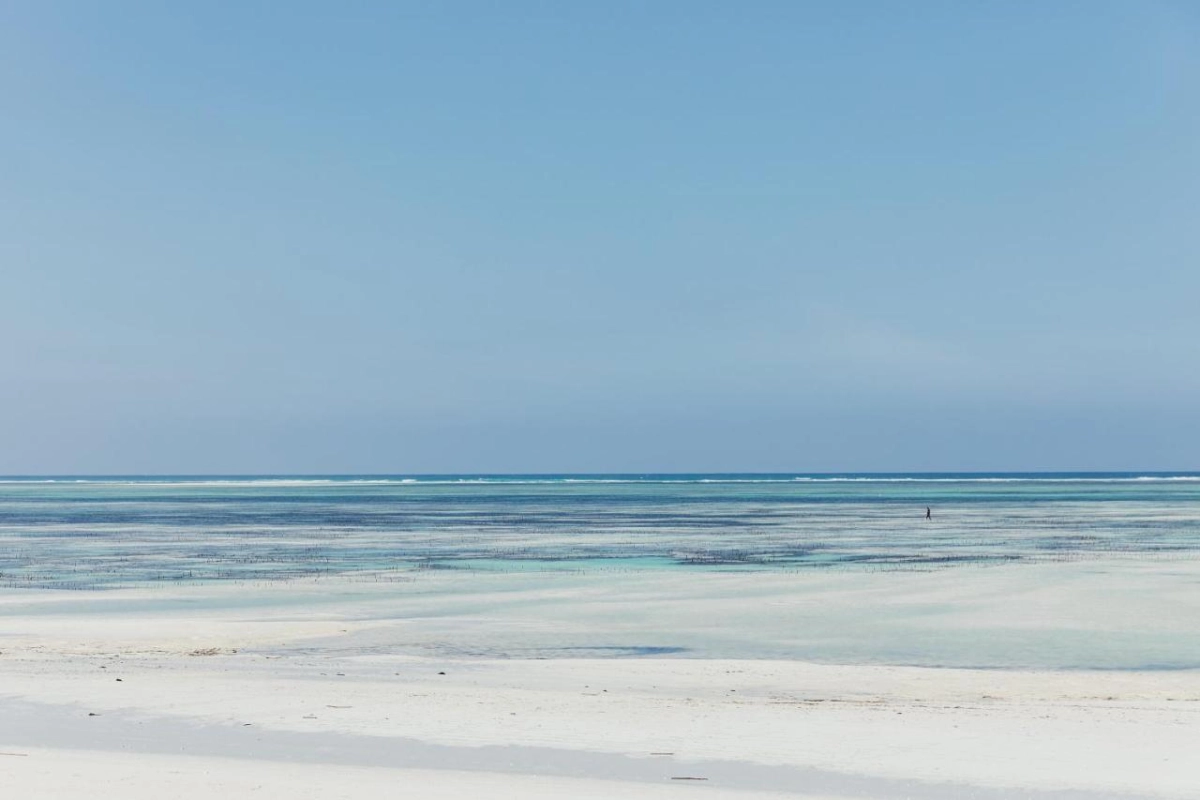 LUX* Marijani Zanzibar - Hotel Photo 6