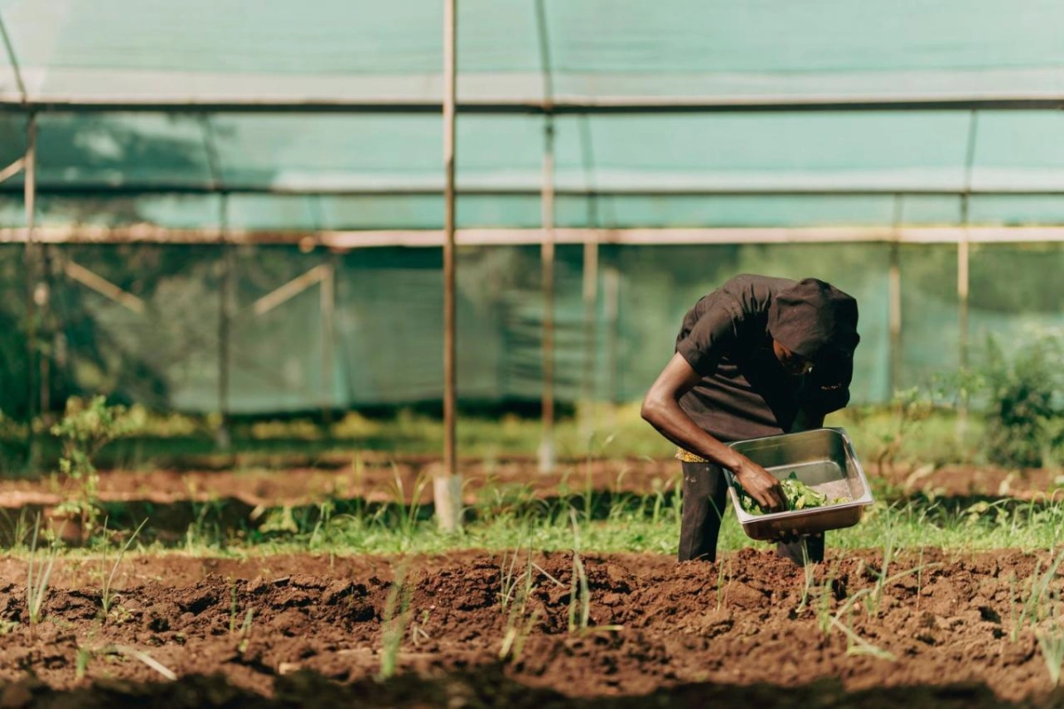 Melia Zanzibar - Hotel Photo 40