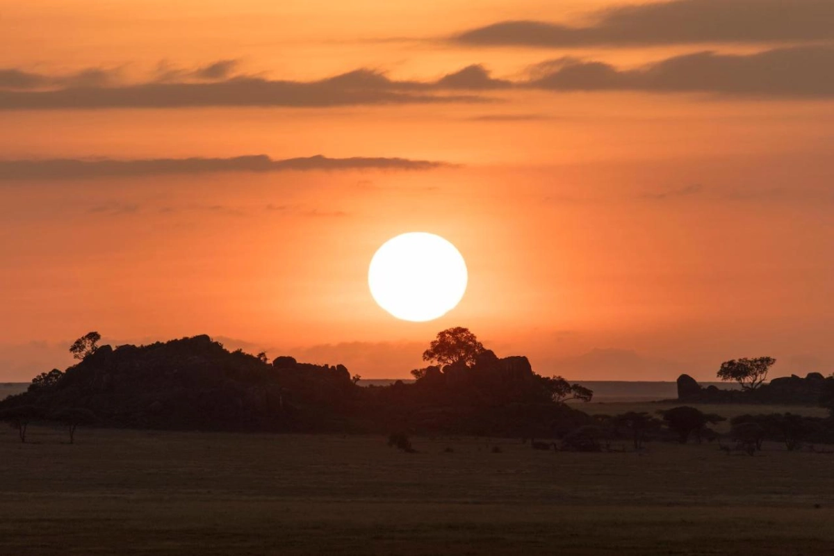 Melia Serengeti Lodge Member of Melia Collection - Hotel Photo 15