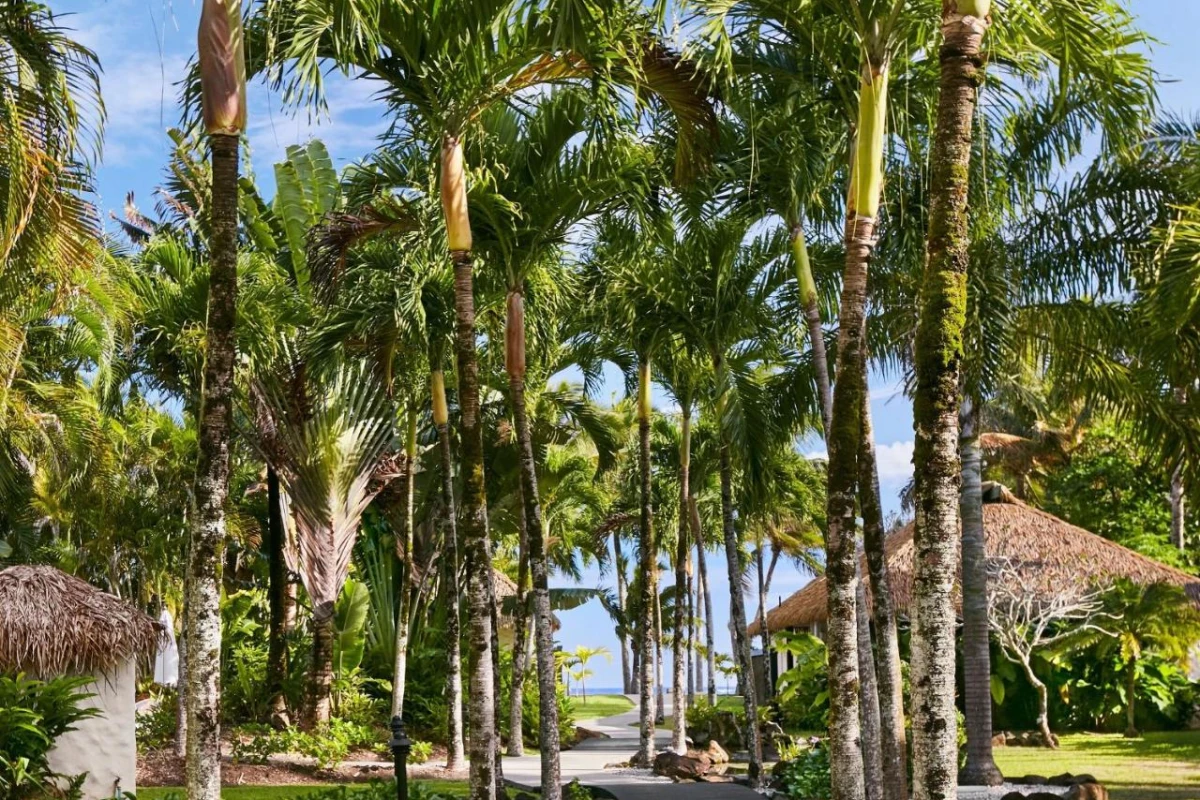 Motu Beachfront Art Villas - Hotel Photo 10