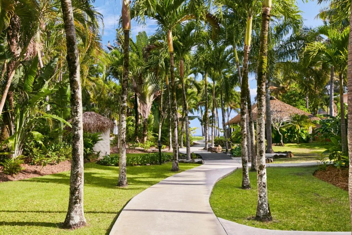 Motu Beachfront Art Villas - Hotel Photo 19