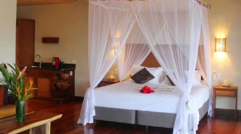 Junior Suite - Beach Front at Nautilus Resort Rarotonga