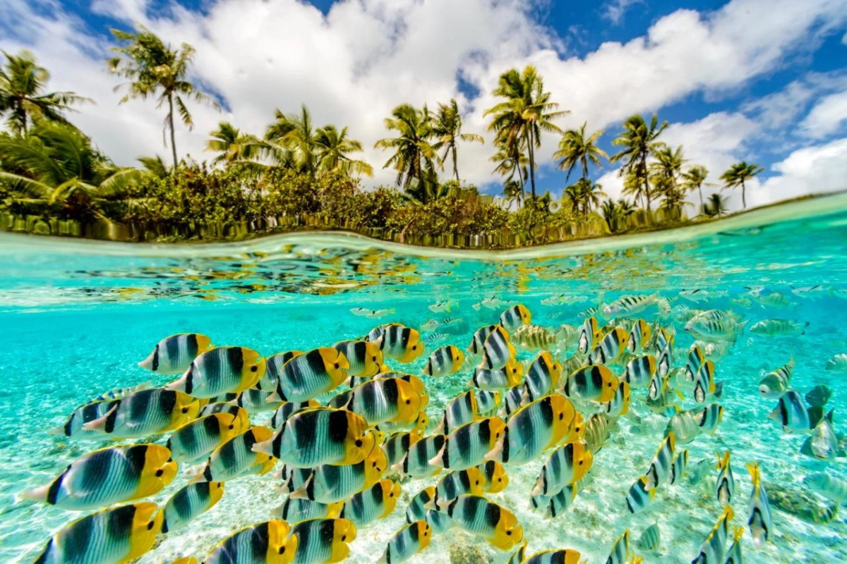 Le Taha'a By Pearl Resorts - Hotel Photo 16