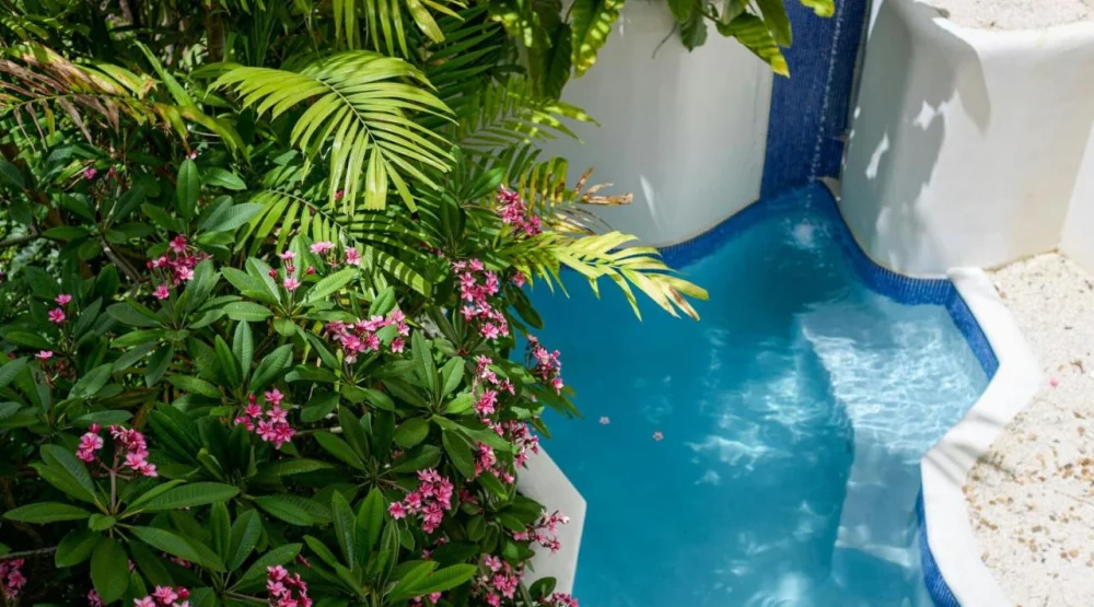 Luxury Garden View, All-inclusive Adults Only, One King , Plunge Pool at The House by Elegant Hotels