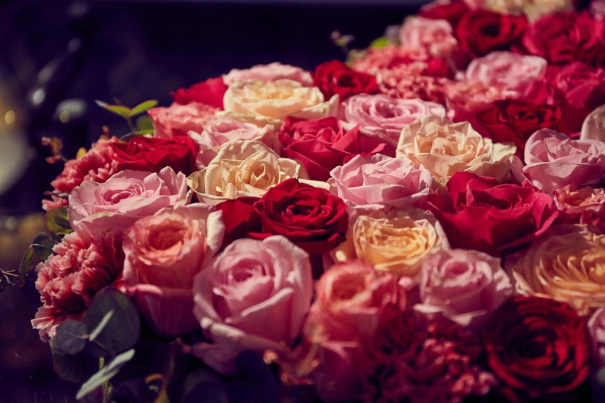 Art Deco Imperial Hotel - Hotel Photo 29