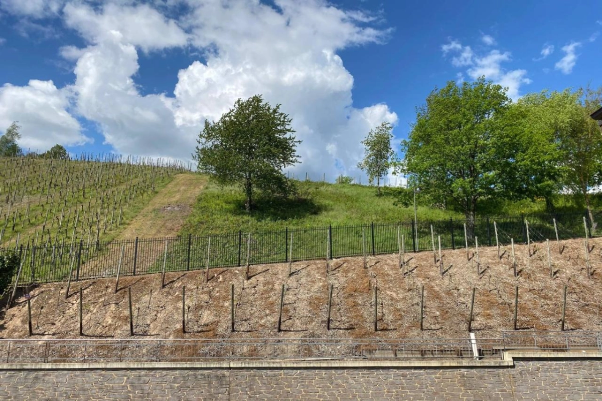 Schloss Lieser Autograph Collection - Hotel Photo 48