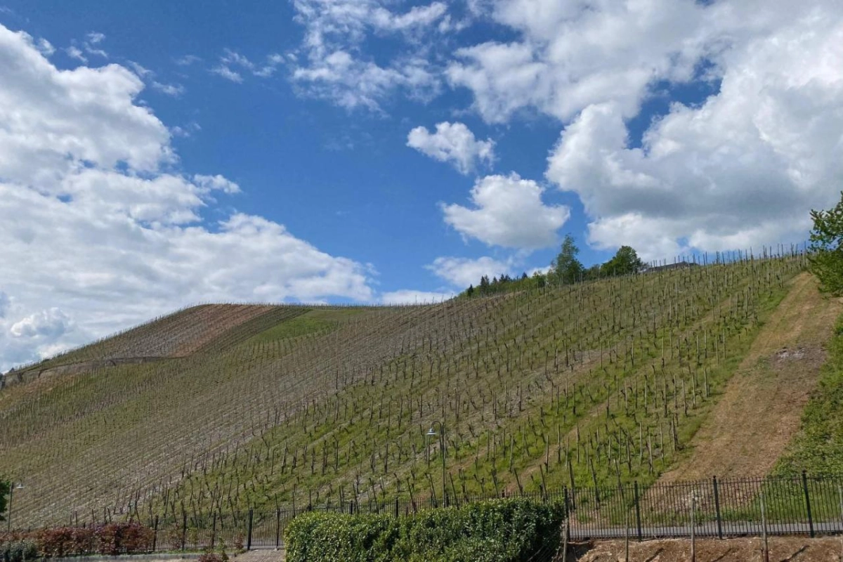 Schloss Lieser Autograph Collection - Hotel Photo 49