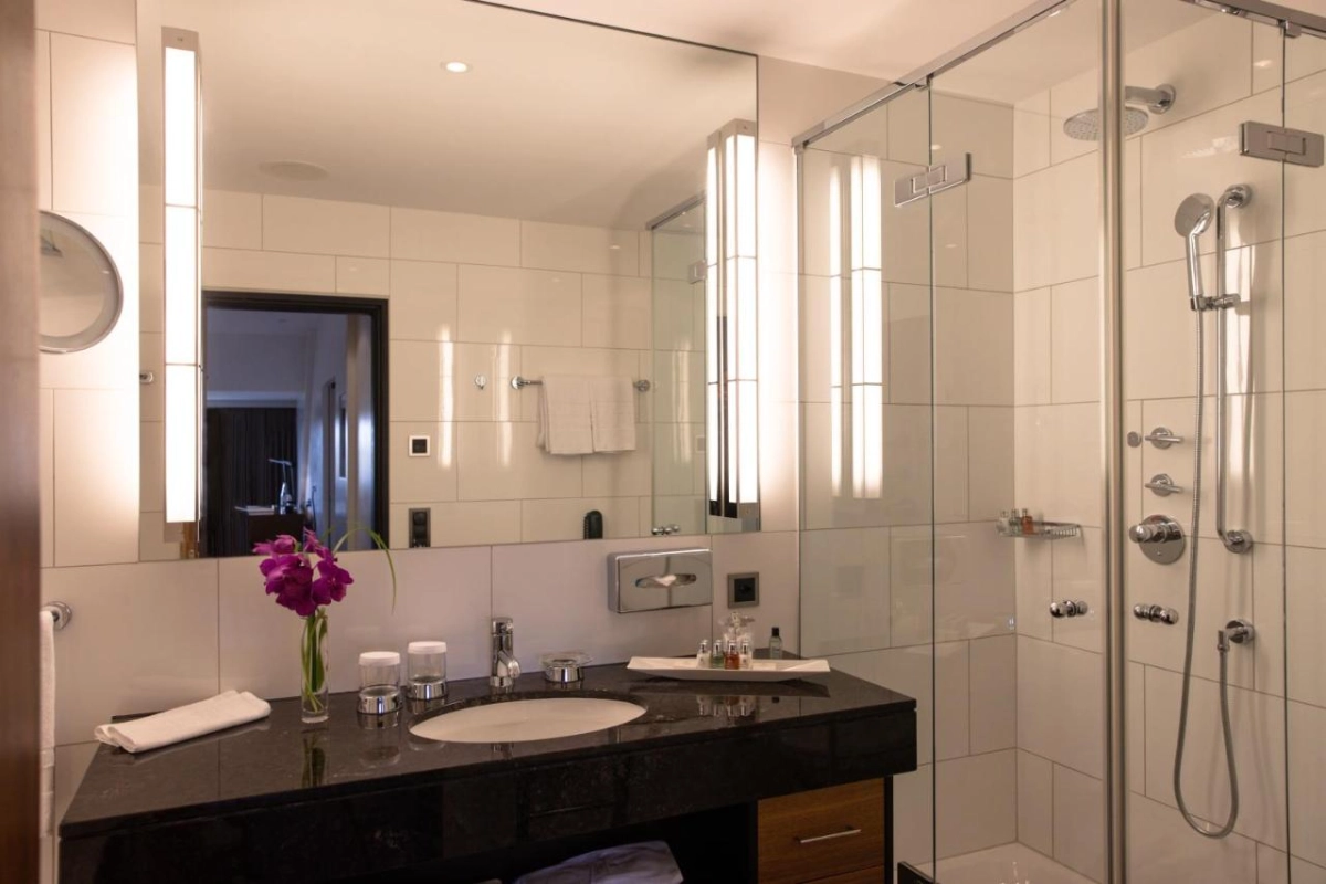 Hotel Bellevue Palace Bern - Hotel Photo 40