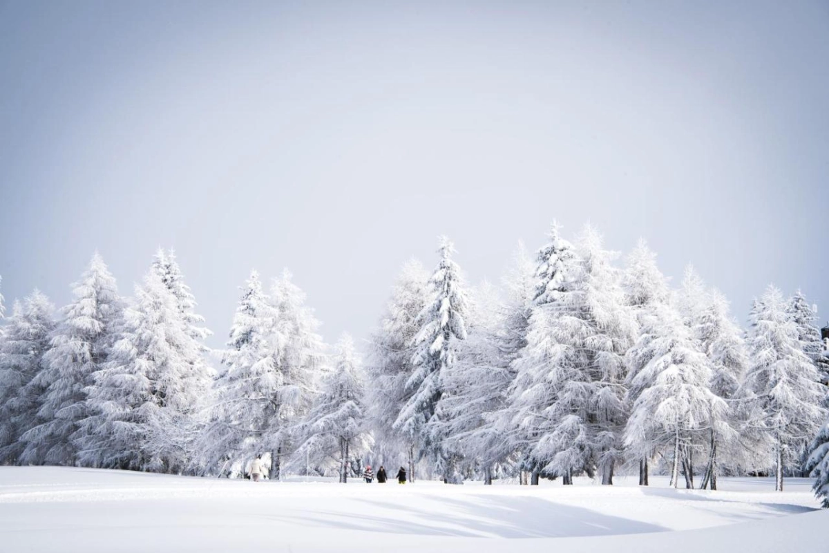 Crans Ambassador - Hotel Photo 16