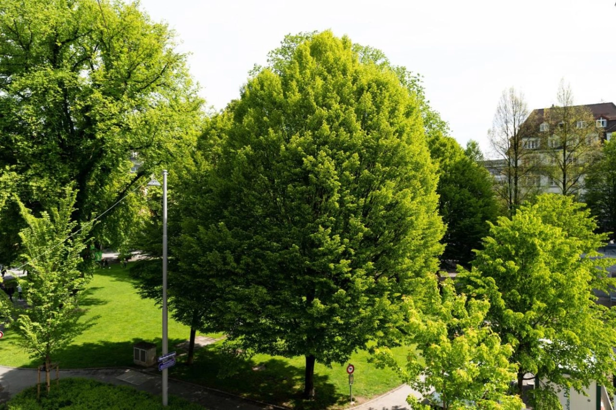 The Hotel Lucerne Autograph Collection - Hotel Photo 5