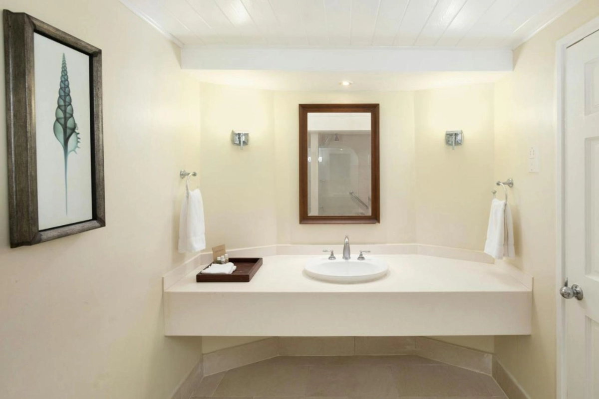 Turtle Beach by Elegant Hotels - Hotel Photo 30