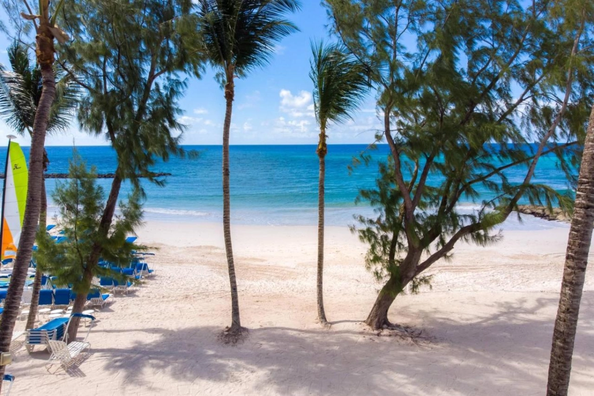 Turtle Beach by Elegant Hotels - Hotel Photo 48