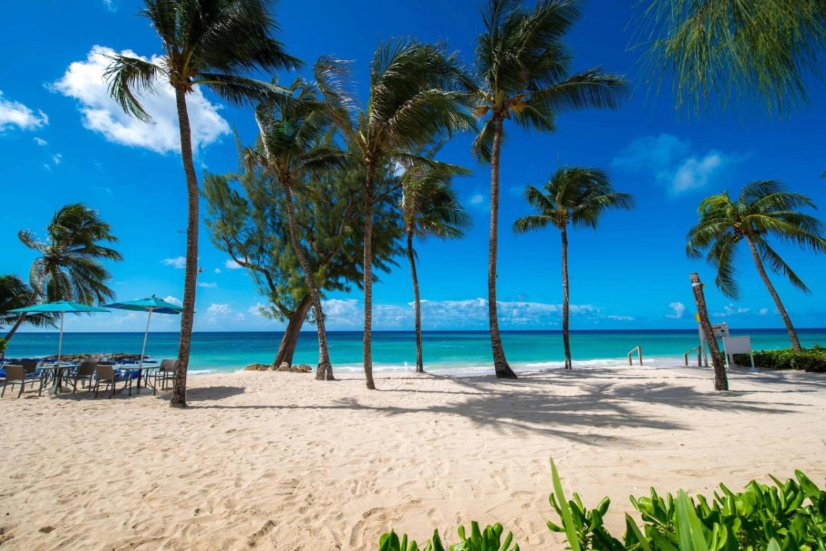 Turtle Beach by Elegant Hotels - Hotel Photo 50