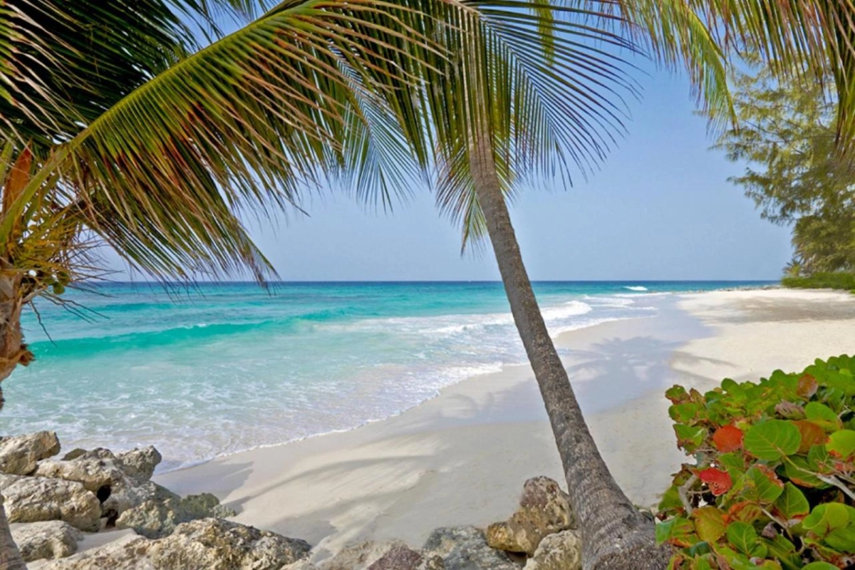 Turtle Beach by Elegant Hotels - Hotel Photo 53