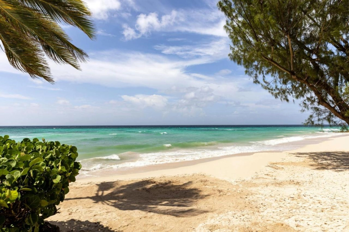 Turtle Beach by Elegant Hotels - Hotel Photo 54