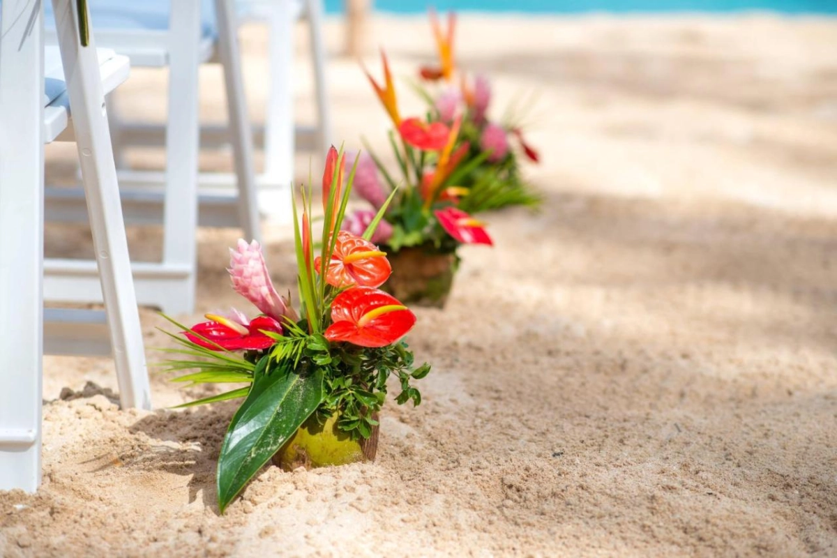 Turtle Beach by Elegant Hotels - Hotel Photo 58