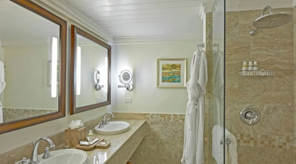 Luxury Swim Up, Guest Room Pool View at Colony Club, a Luxury Collection Resort