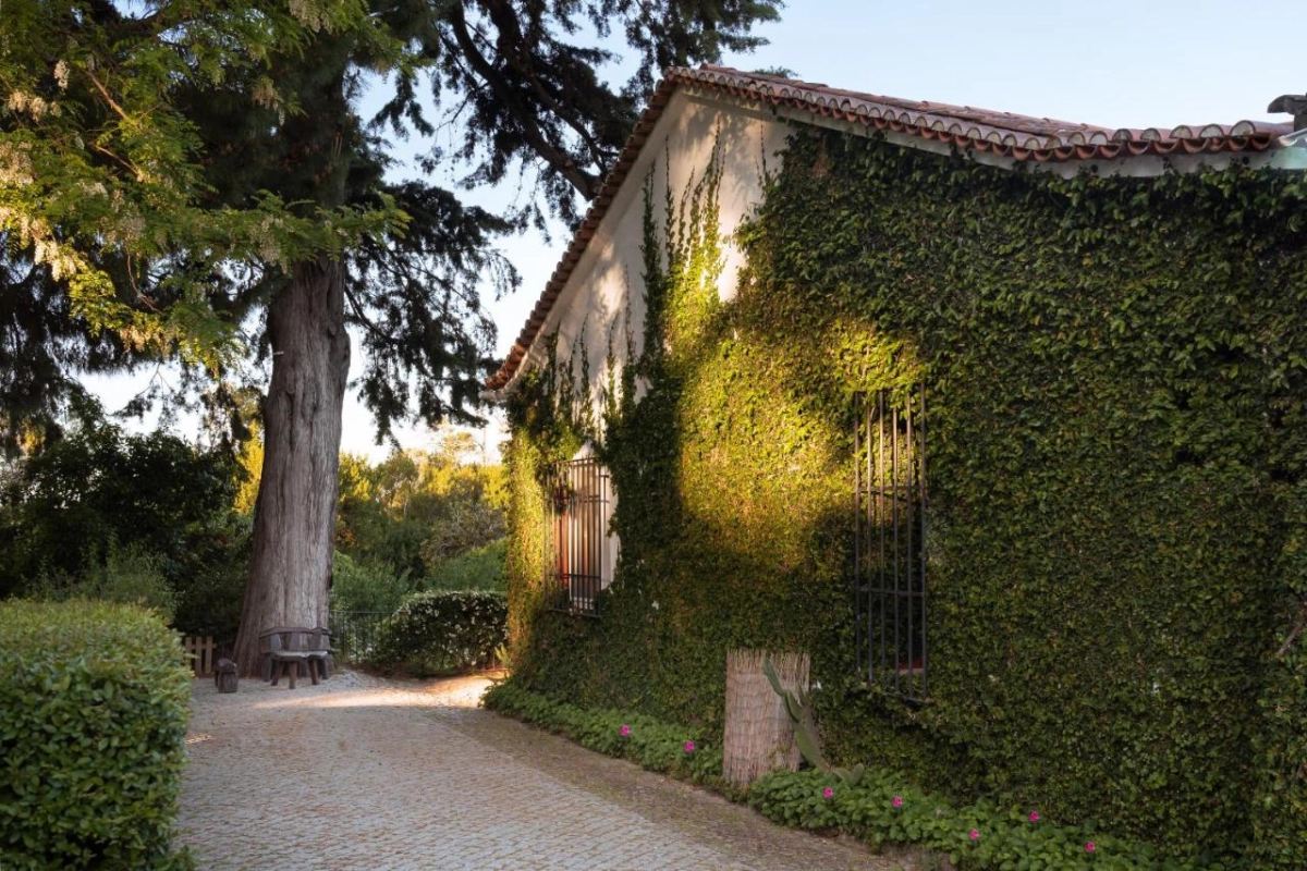 Imani Country House - Hotel Photo 27