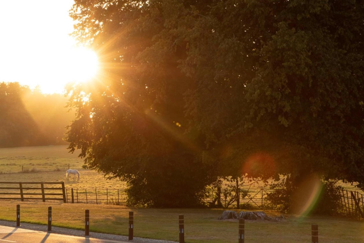 Castlemartyr Resort - Hotel Photo 46