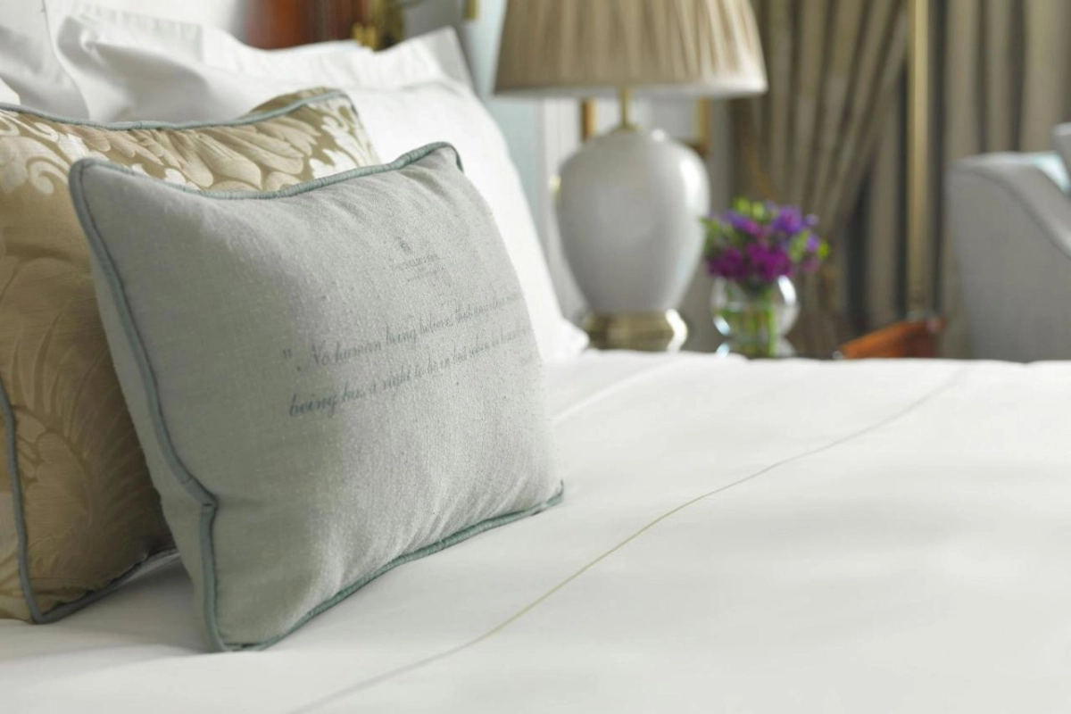 The Shelbourne Autograph Collection - Hotel Photo 46