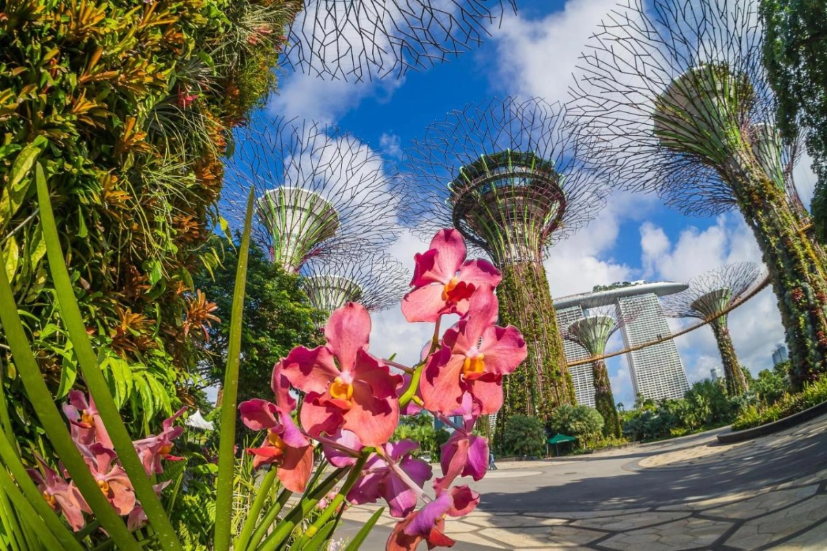 Grand Hyatt Singapore - Hotel Photo 3