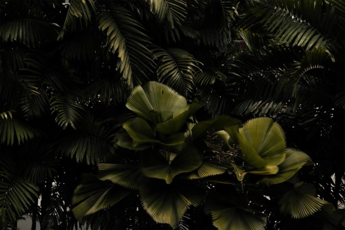 Grand Hyatt Singapore - Hotel Photo 18