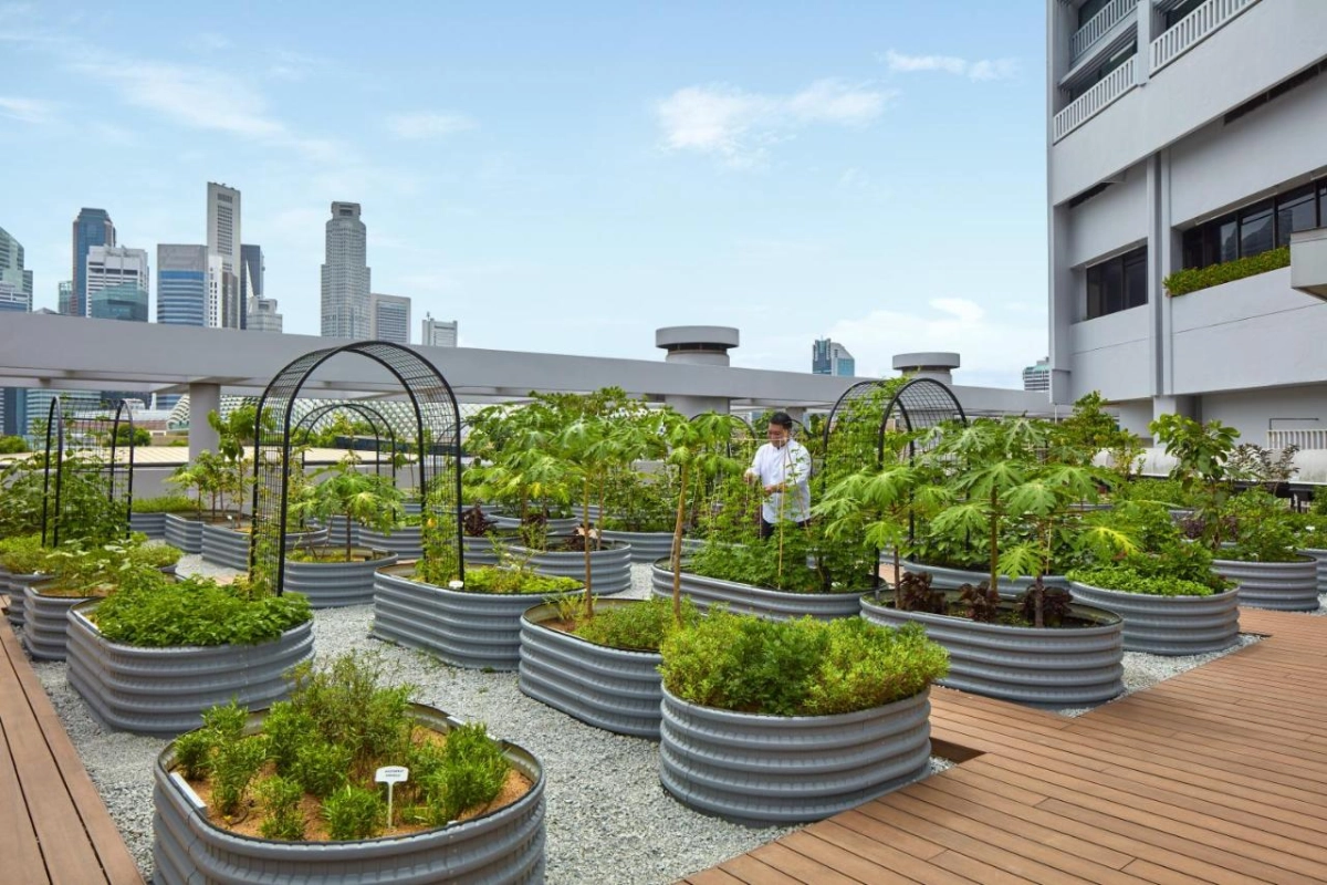 Parkroyal Collection Marina Bay Singapore - Hotel Photo 20