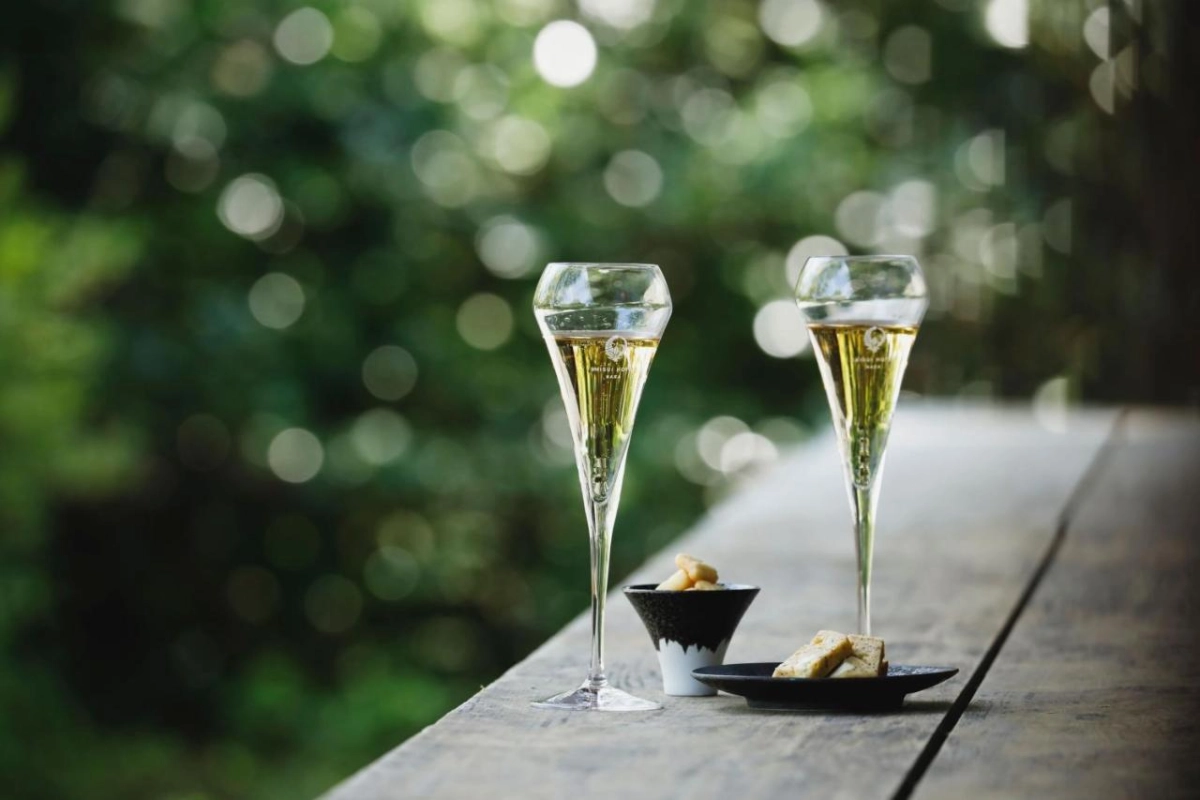 Shisui a Luxury Collection Hotel - Hotel Photo 43