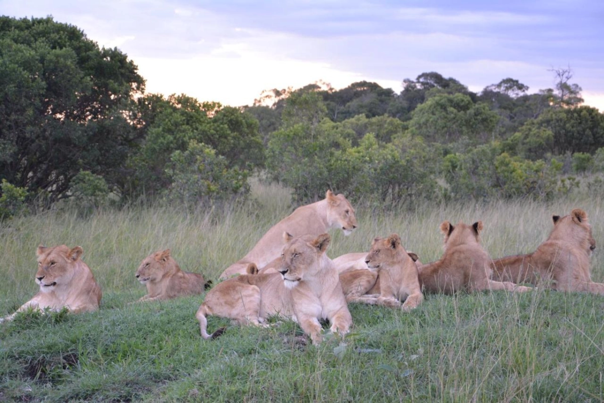 Neptune Mara Rianta Luxury Camp - Hotel Photo 28