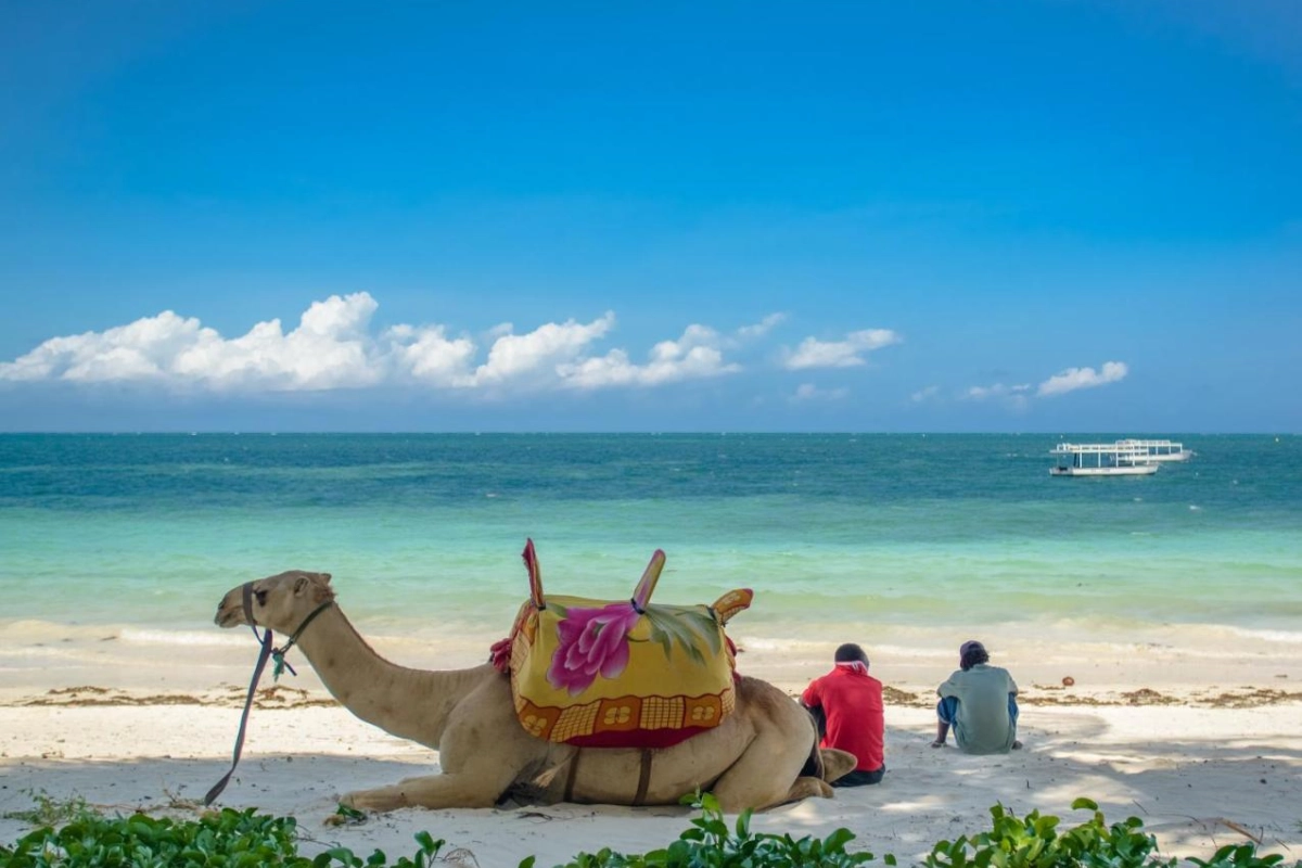 Sarova Whitesands Beach Resort & Spa - Hotel Photo 5