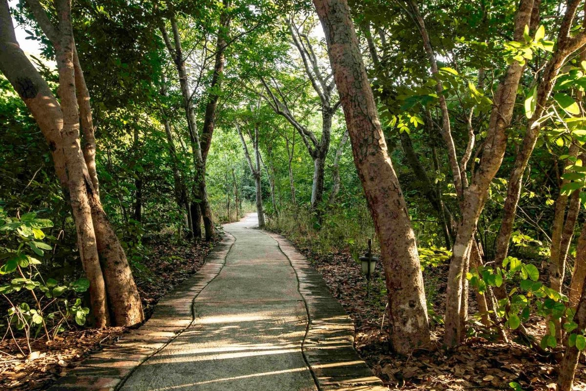 Mbano Manor Hotel Victoria Falls - Hotel Photo 11