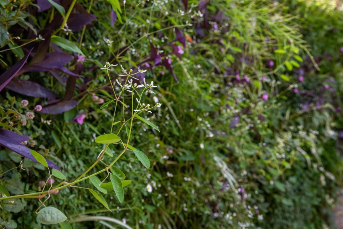 Mbano Manor Hotel Victoria Falls - Hotel Photo 40