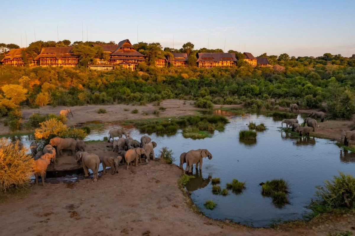 Victoria Falls Safari Lodge - Hotel Photo 5