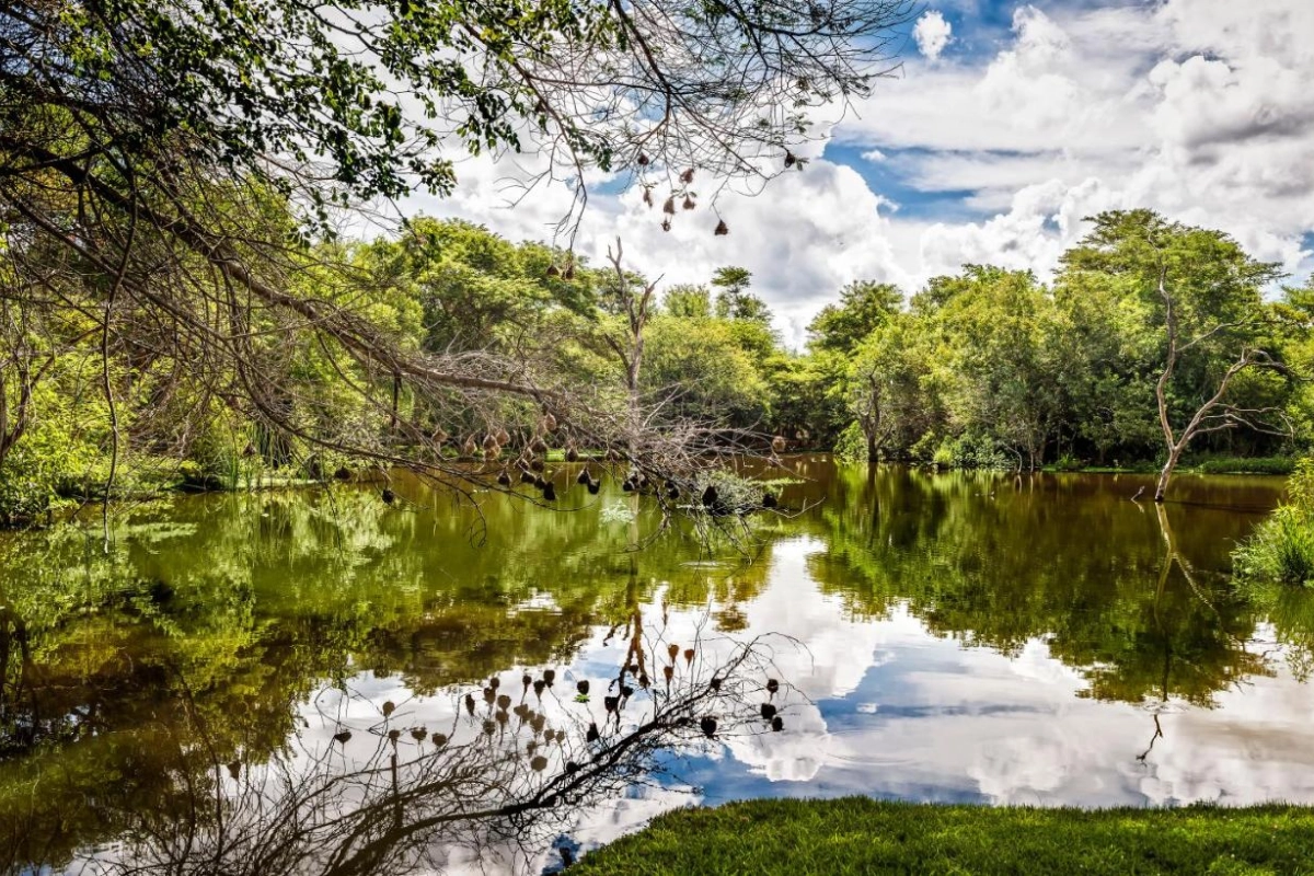 Avani Victoria Falls Resort - Hotel Photo 48