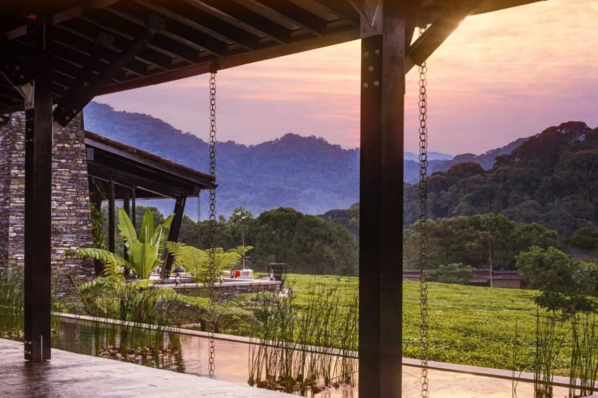 One&Only Nyungwe House - Hotel Photo 10