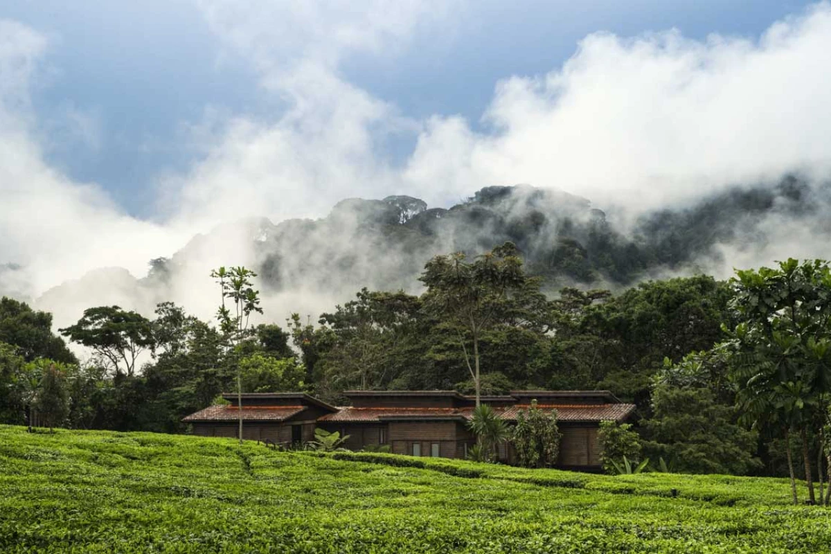 One&Only Nyungwe House - Hotel Photo 14