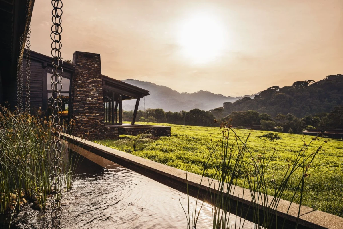 One&Only Nyungwe House - Hotel Photo 23