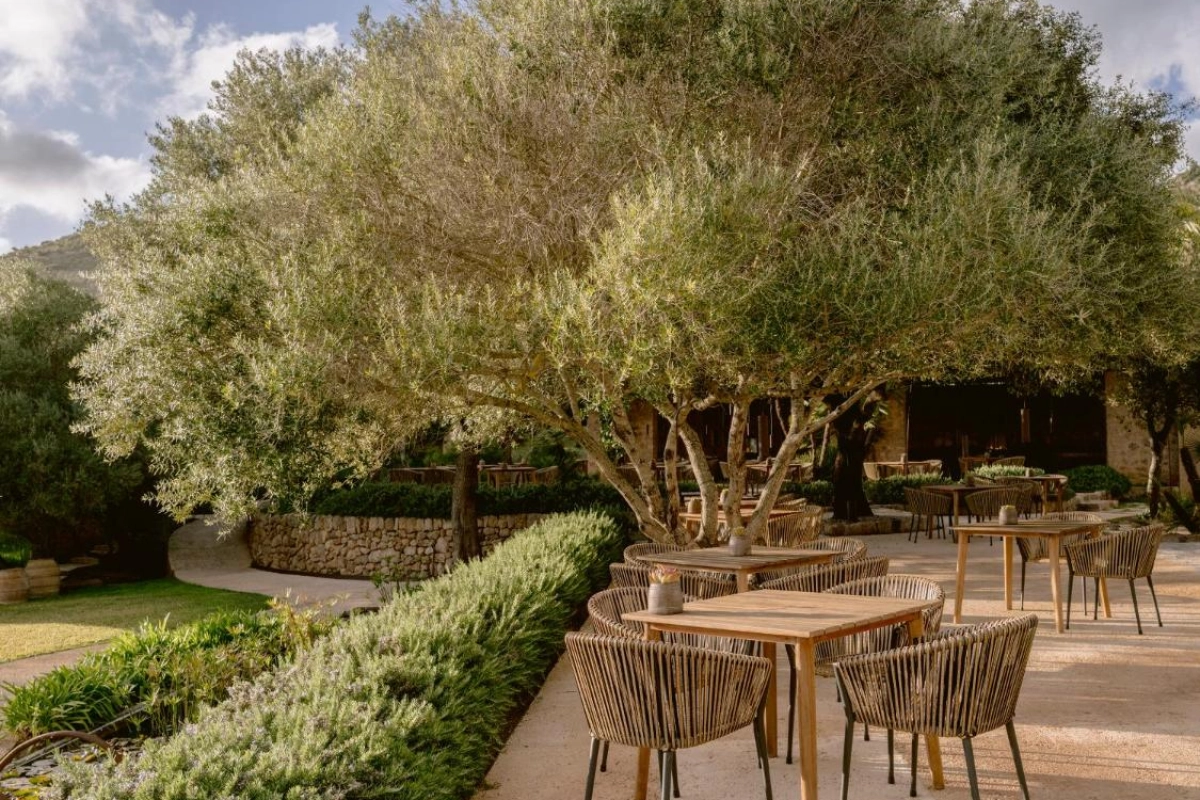 Es Raco d'Arta - Hotel Photo 24