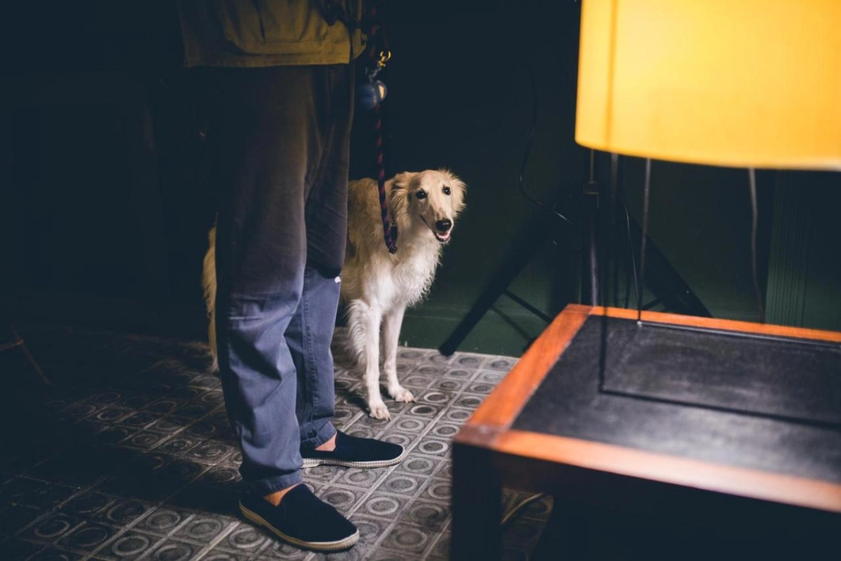 Casa Bonay Barcelona - Hotel Photo 13