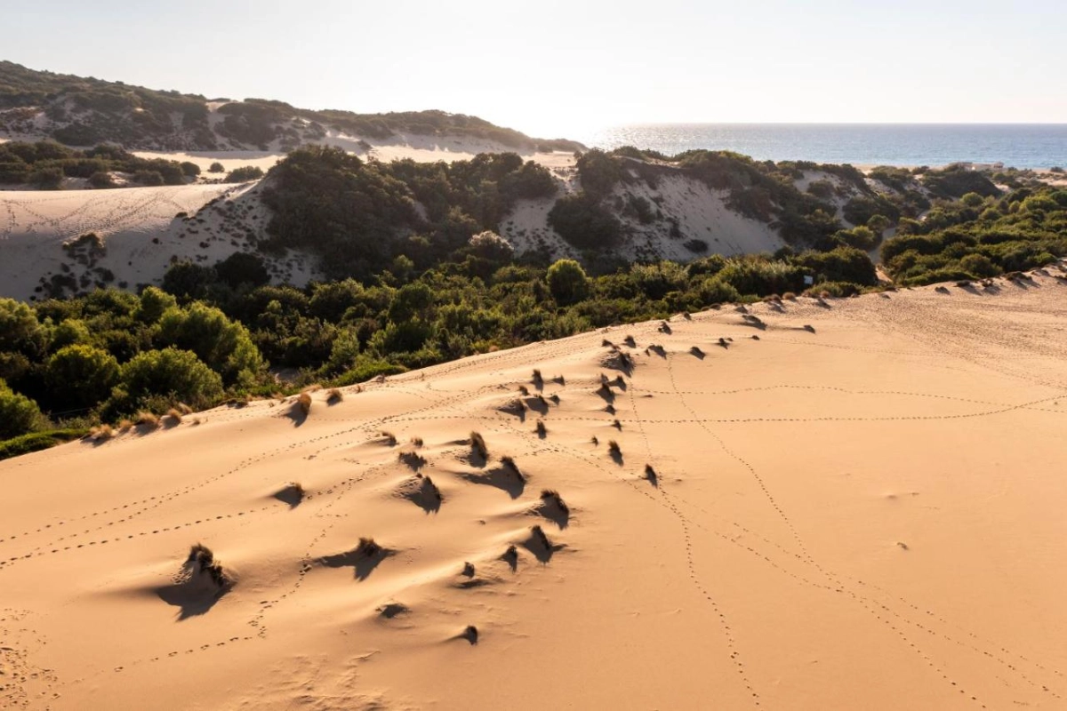 Hotel Le Dune Piscinas - Hotel Photo 17