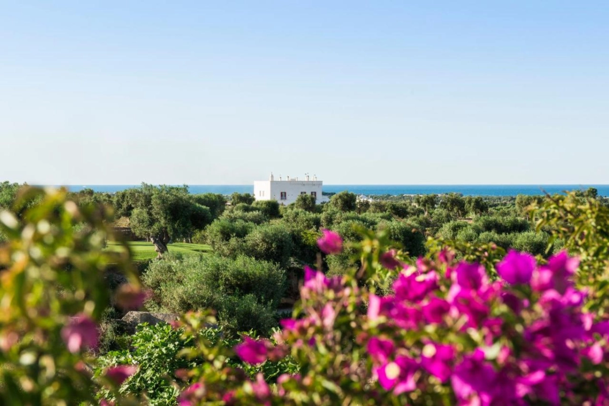 Masseria Torre Maizza - Hotel Photo 19