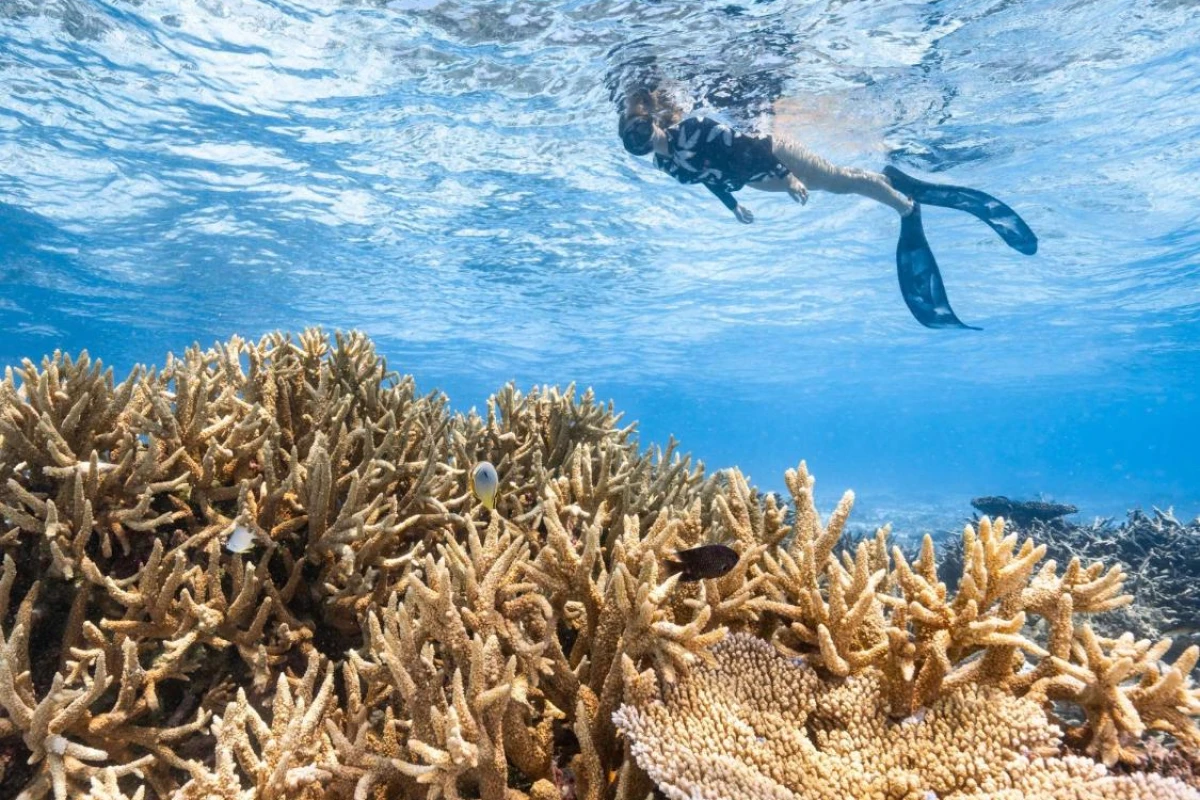 Park Hyatt Maldives Hadahaa - Hotel Photo 7