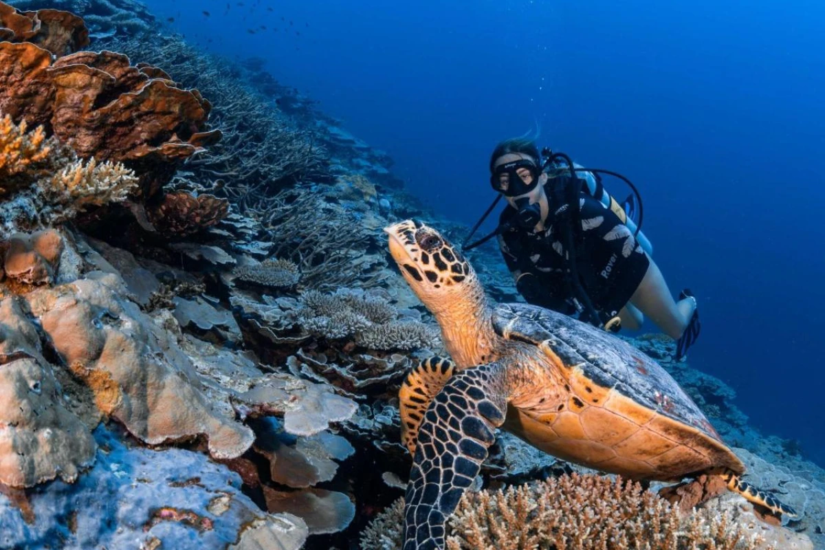 Park Hyatt Maldives Hadahaa - Hotel Photo 9