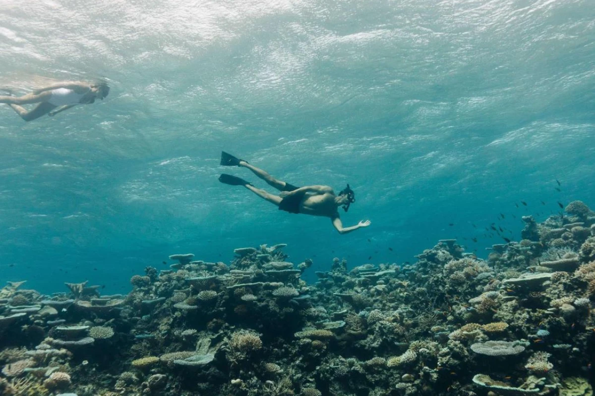 Park Hyatt Maldives Hadahaa - Hotel Photo 17