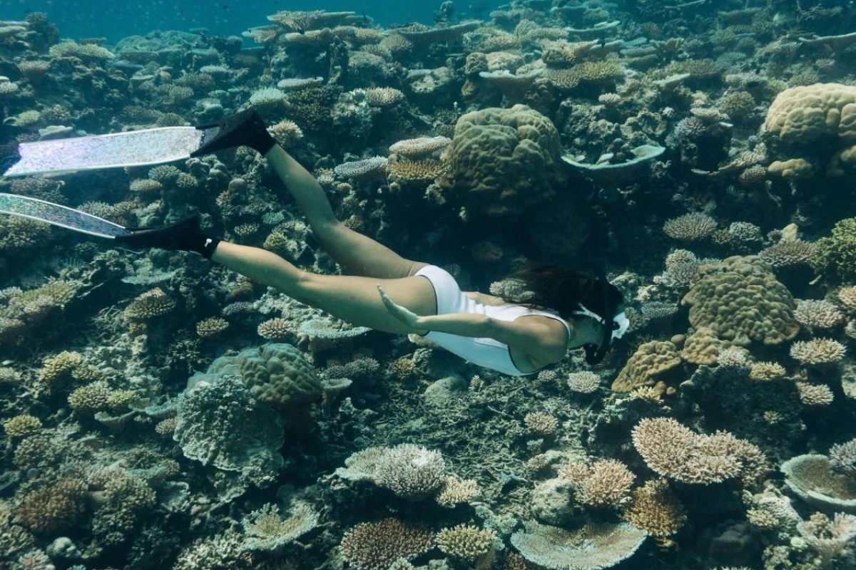 Park Hyatt Maldives Hadahaa - Hotel Photo 35