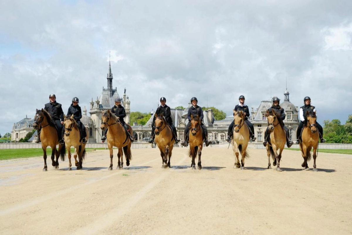 Auberge Du Jeu De Paume - Hotel Photo 46