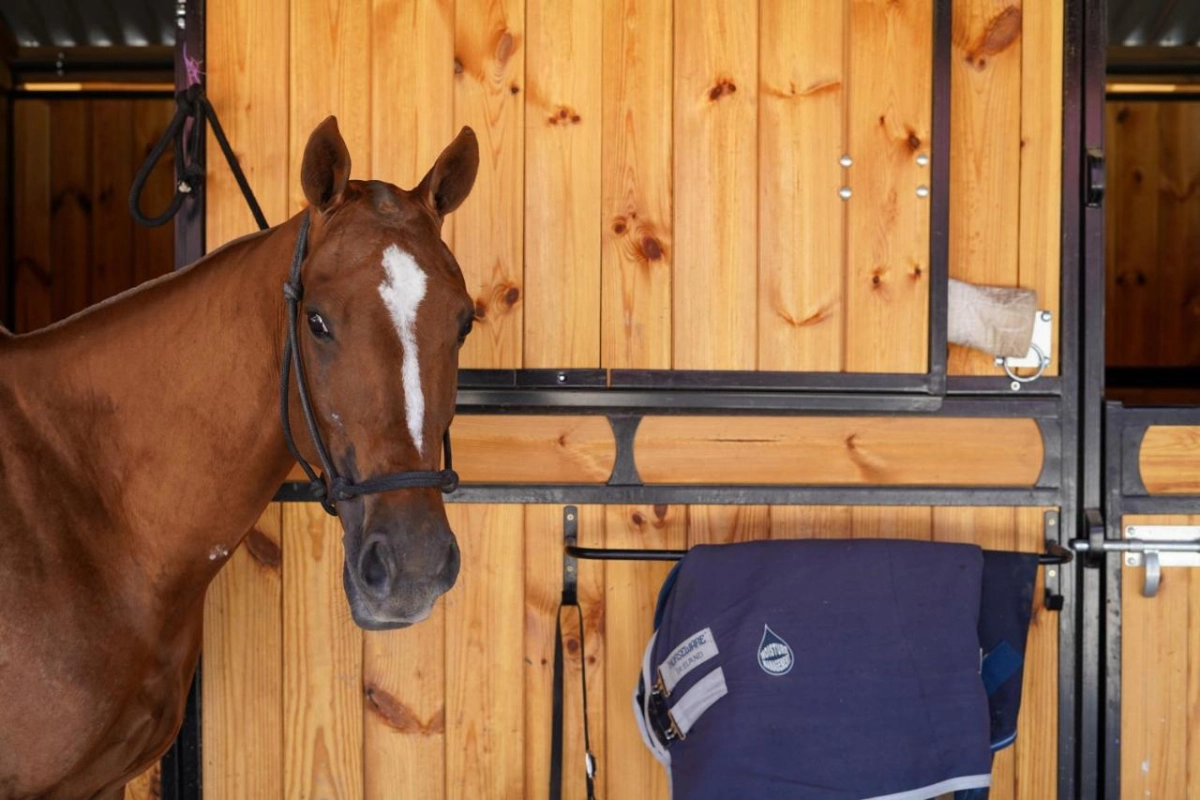 Auberge Du Jeu De Paume - Hotel Photo 48